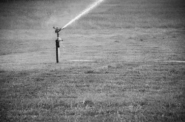 Watering a field of crops with a sprinkler