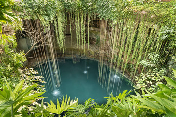 Rainforest cenote found in Yucatan peninsula. Deep fresh water filled holes found in Yucatan, Mexico - obrazy, fototapety, plakaty