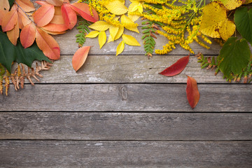 Autumn Leaves on Wood Background