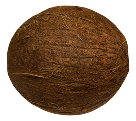 Tropical fruit coconut  isolated on white