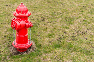 Fototapeta na wymiar bright red fire hydrant surrounded by grass