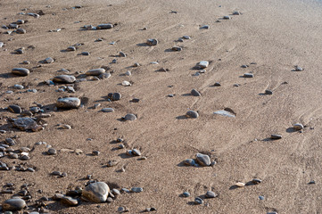 rock seaside shore with stone