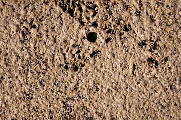 Stone texture background