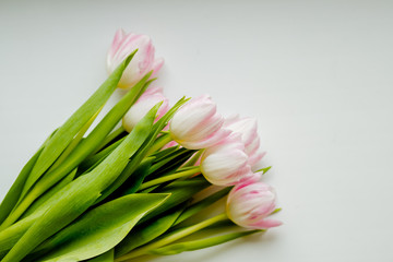 Bouquet of pink tulips on a light background. Holiday card.Tulips bunch.Hello spring.Happy Easter, 8 march, mothers day concept. Spring flowers.Copy space