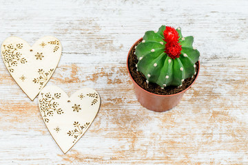 Hearts and cactus for Valentine`s day.