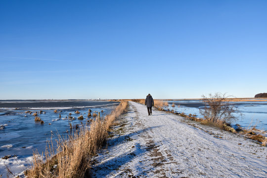 Man walks on a snowy footpath in the reeds