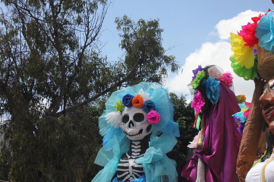 Catrina