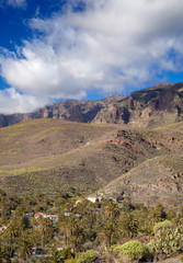 Gran Canaria, January