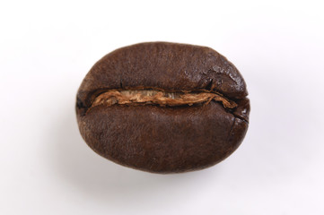 Close up of Coffee beans on white background
