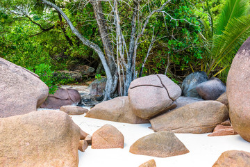 Seychelles beach stones near to Praslin island