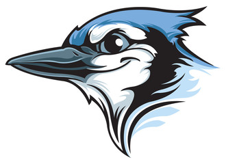 Blue jay