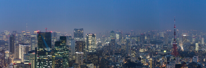 Fototapeta na wymiar Tokyo skyline, Japan