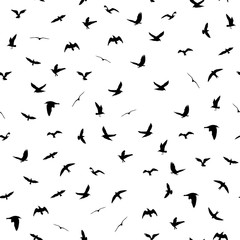 Flying birds silhouettes on white background. Animals seamless detailed pattern. Black on white backgound. Vector illustration