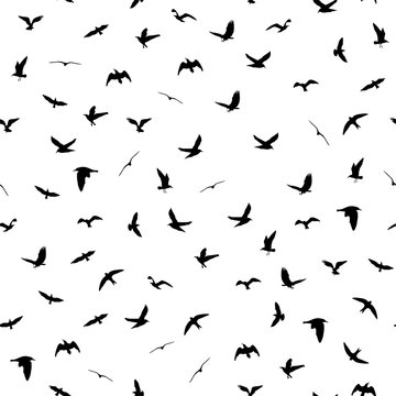 Flying birds silhouettes on white background. Animals seamless detailed pattern. Black on white backgound. Vector illustration