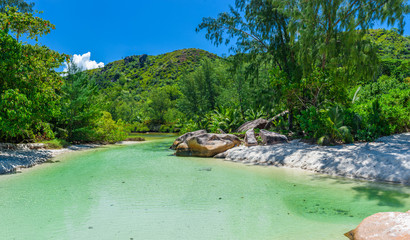 Seychelles river with clear water scenery