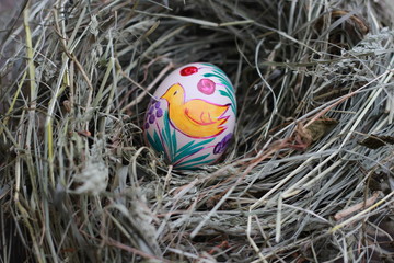 easter eggs and a nest of hay