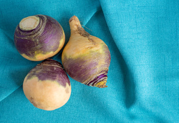 three ripe rutabagas on a green linen cloth with copy space