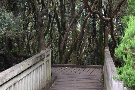Naturaleza