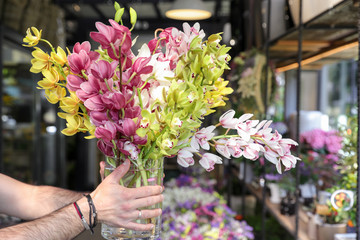 Cymbidium orchid cut flowers in pink, green, yellow, white colors holding florist in the flowers bar. - obrazy, fototapety, plakaty