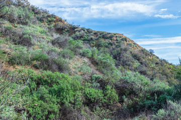 Hillsides on winter morning with blue sky for text