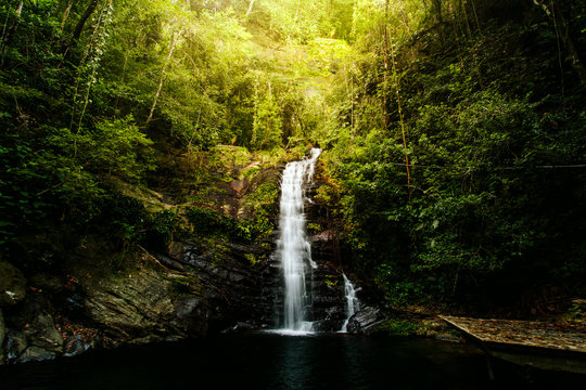 Belizean Jungle Waterfall - Powered by Adobe