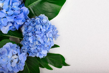 Obraz premium Frame made of blue hydrangea and green leaves on white background. Flat lay, top view. Wedding's background