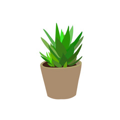 Houseplant in a pot vector