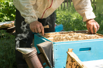 The beekeeper checking the beehive. Beekeeper harvesting honey