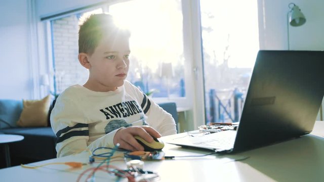 Boy types on laptop and looks at the screen while doing a science project