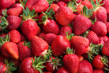 Fresh ripe strawberries