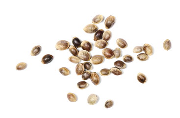 Hemp seeds macro isolated on white background, top view