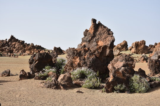 Paisaje