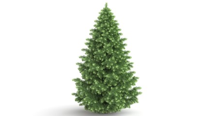 3d rendering of a green plant isolated on a white background