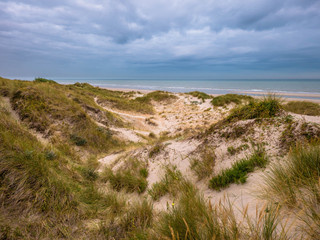 Fototapeta na wymiar Dunes with marram grass at the beach with view towards the North Sea