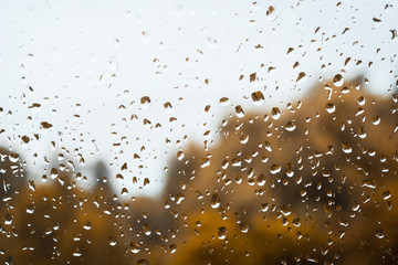Drops of rain on window against gloomy rainy sky and golden trees on the background