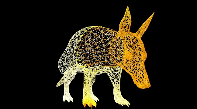 3d rendering of an animal wireframe isolated on a black background