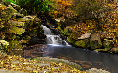 Waterfall in Central Park