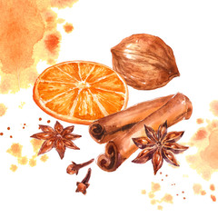 anise and cinnamon, walnut and orange, watercolor illustration on a white background