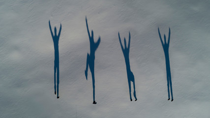 successful people team winning together