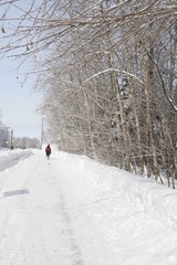 une personne qui marche dand un parc en hiver