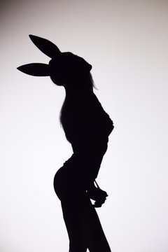 The shadow of a sexy girl in a bunny mask on a white background