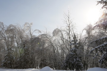 paysage d'hivers sous la glace. Québec, Canada