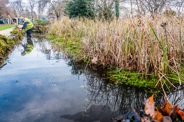 Conservation workers clear vegetation from the dipping pond, Newham, London, UK 