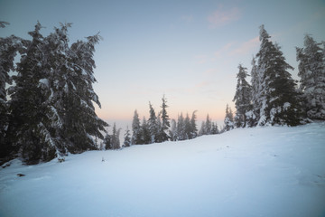 Evening winter landscape in the Ukrainian Carpathians with snow-capped peaks, fogs and beautiful skies.