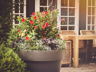 container garden with patio furniture