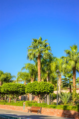 Beautiful park  in old medina  of Marrakesh, Morocco