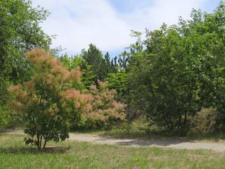 Dniprorudne district, Zaporizhia region, Southern Ukraine