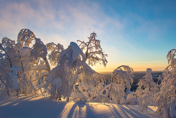 Winter sunset