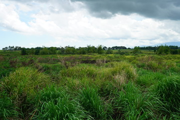 View of the province countryside near Bacolod City, Philippines