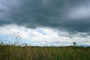 View of the province countryside near Bacolod City, Philippines